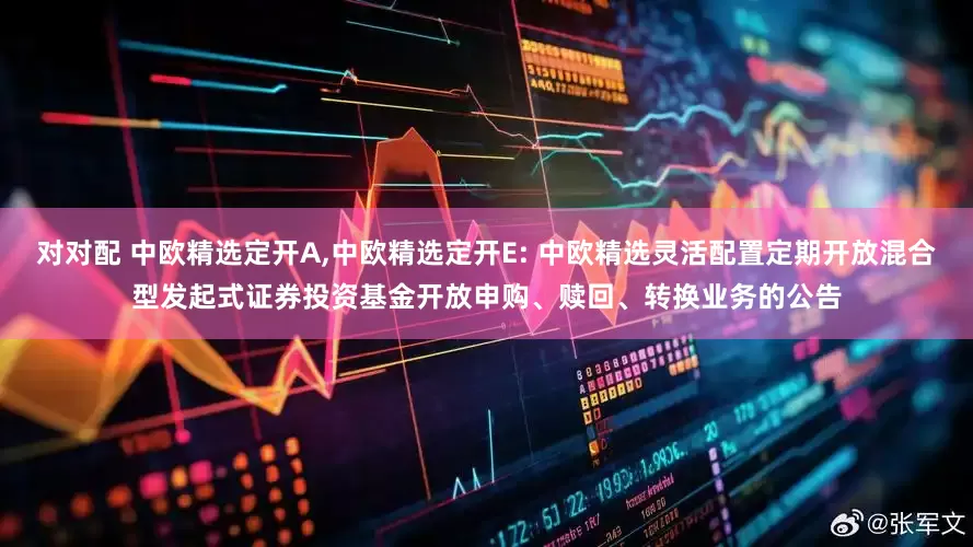 对对配 中欧精选定开A,中欧精选定开E: 中欧精选灵活配置定期开放混合型发起式证券投资基金开放申购、赎回、转换业务的公告