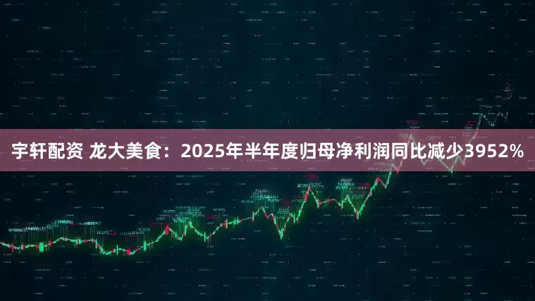 宇轩配资 龙大美食：2025年半年度归母净利润同比减少3952%
